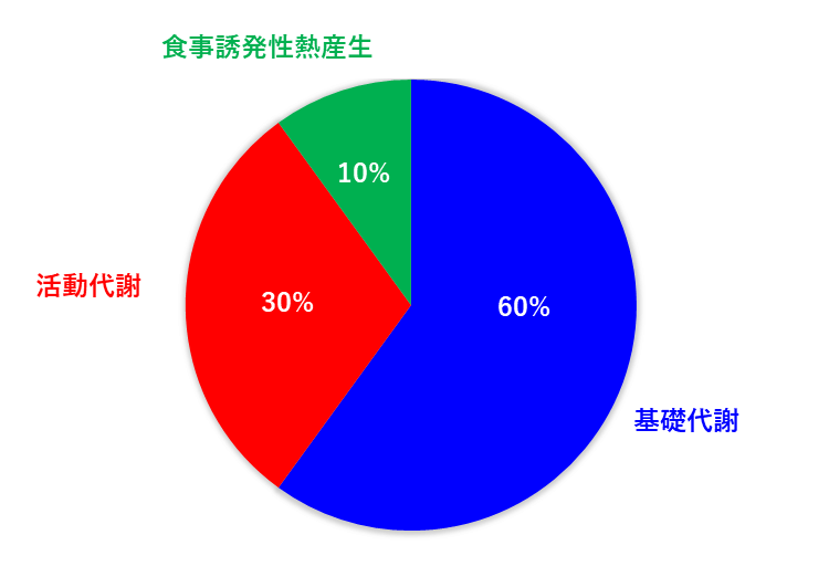 代謝の割合