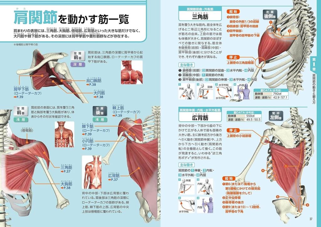 筋肉の使い方・鍛え方パーフェクト事典の内容