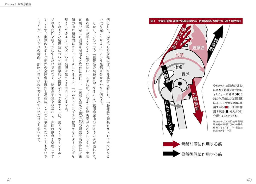 アスリートのための解剖学内容